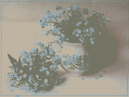 Niezapominajki w dzbanku